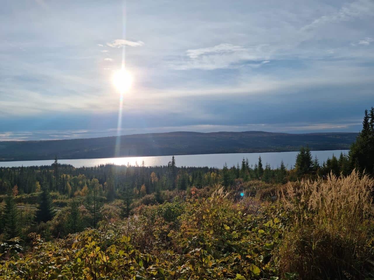 Beratung deiner Website